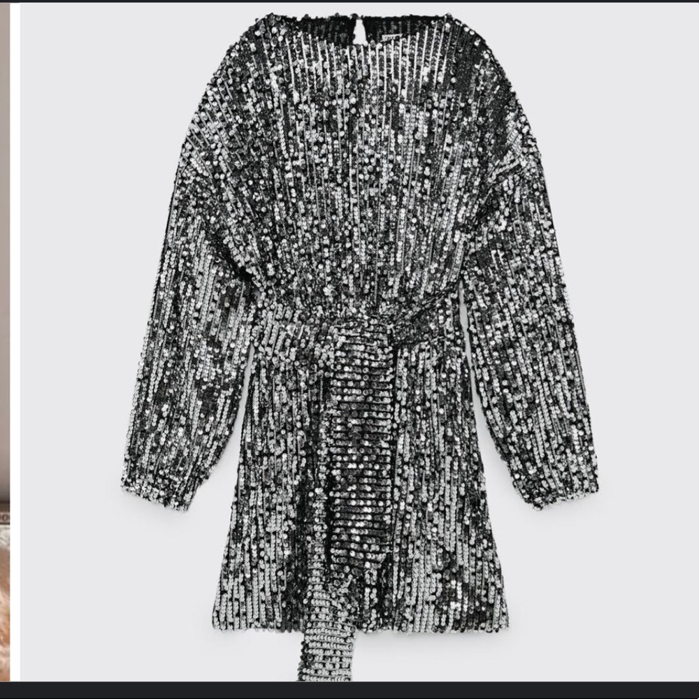Zara Black and Silver Sequin Dress